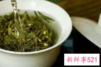 茶到底怎么泡