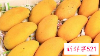 买了一箱芒果怎么保存