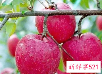 小孩吃苹果有什么好处和坏处