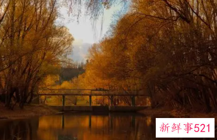 家乡的秋天800字作文