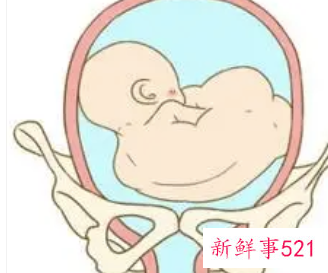 孕早期和孕中期的胎心率