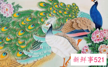 什么人不适合挂牡丹画