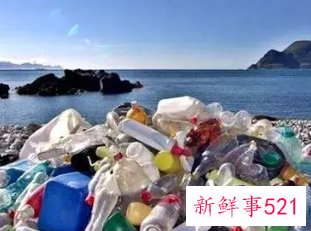 一次性物品的害处