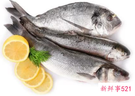 吃什么鱼对儿童会更聪明