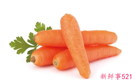 胡萝卜的功效及作用