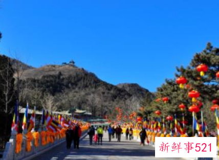 妈妈去世,我太想念了,走不出阴影