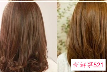 染发纯棕色和纯啡色