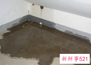 做梦梦见自己家楼房漏水