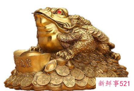 蟾蜍放哪个位置招财