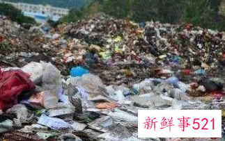 一次性物品的害处