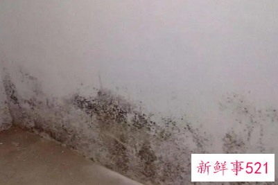 如何解决屋内潮湿发霉