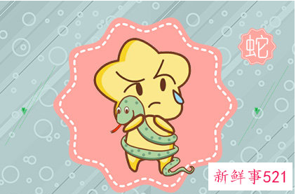 八月出生的蛇是什么命