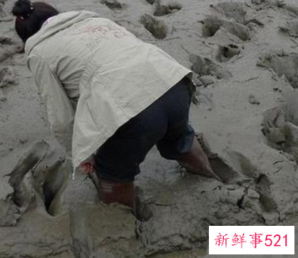 女人梦见掉泥潭里挣扎