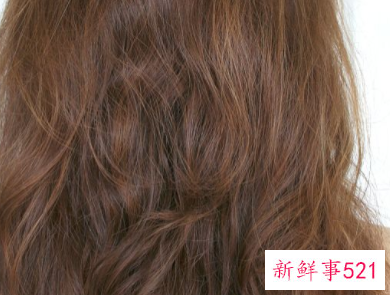 染发纯棕色和纯啡色