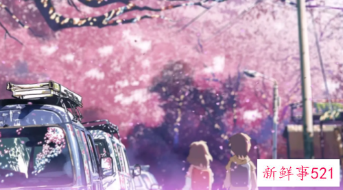 《秒速五厘米》语录