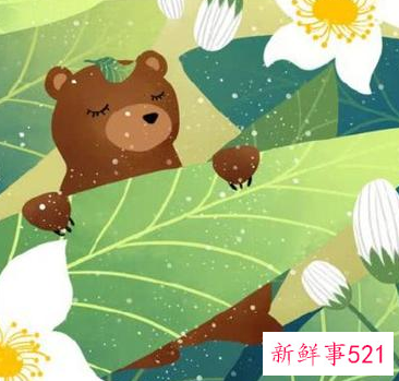 男人对你无话不谈