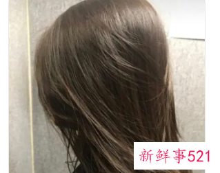 染发纯棕色和纯啡色