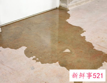 如何解决屋内潮湿发霉