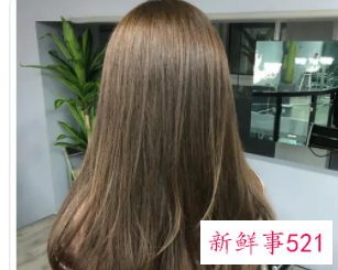 染发纯棕色和纯啡色