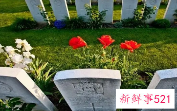 梦见纪念碑是什么意思