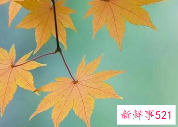 生活迷茫没有方向的