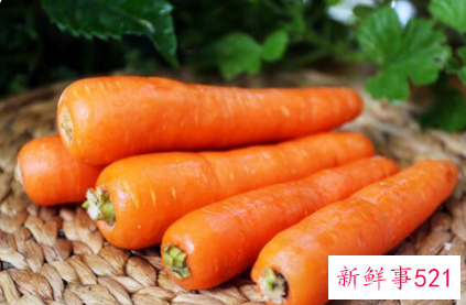 胡萝卜的功效及作用
