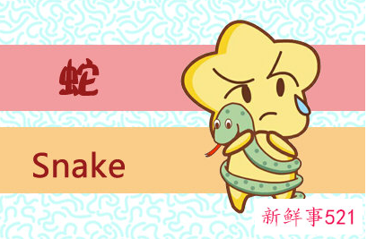 八月出生的蛇是什么命