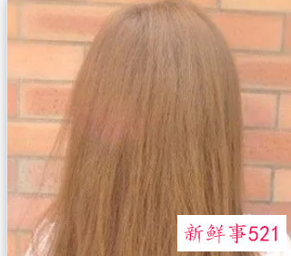 染发纯棕色和纯啡色