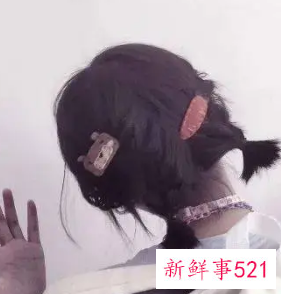 圆脸适合什么发型短发