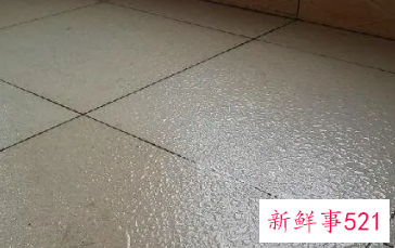 实木地板防潮膜