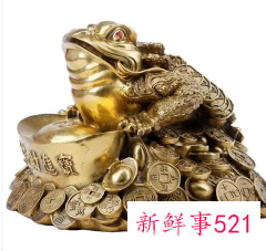 蟾蜍放哪个位置招财