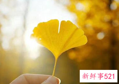 生活迷茫没有方向的