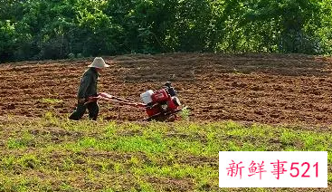 梦见犁地都有什么意思