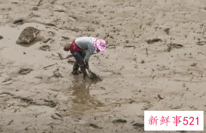 女人梦见掉泥潭里挣扎