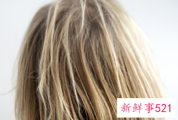 染发纯棕色和纯啡色