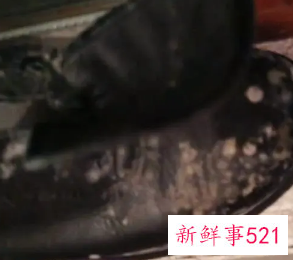 黑色运动鞋发霉了怎么办