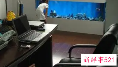 办公室物品的风水讲究