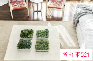 实木地板防潮膜