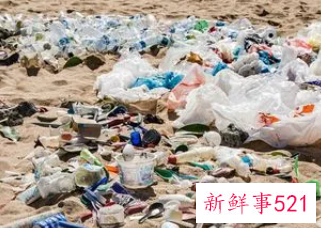 一次性物品的害处