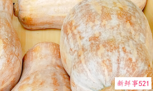 圆南瓜和长南瓜哪个营养高