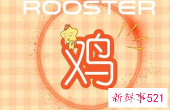 属鸡人桃花运在几月份