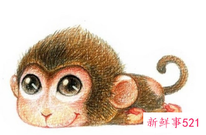 属猴子的带什么转运气好