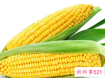 玉米都有哪些营养价值