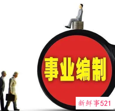 有编制到底是什么意思