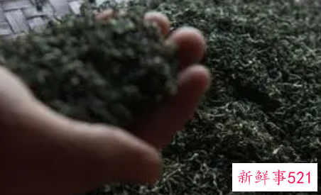 玲珑茶好喝吗