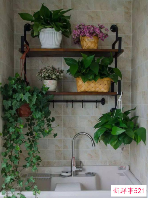 小户型阳台也有春天这样打造秒杀大阳台