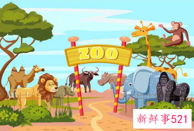 小小动物园作文四年级500字