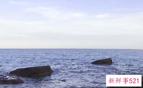 胖大海泡水后能吃吗