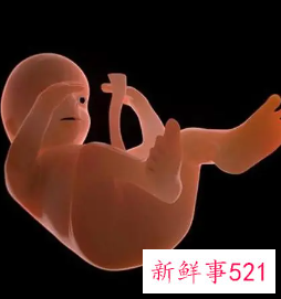 胎儿孕晚期股骨长每周长多少