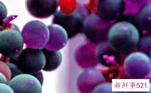 减肥期间哪些水果不能吃